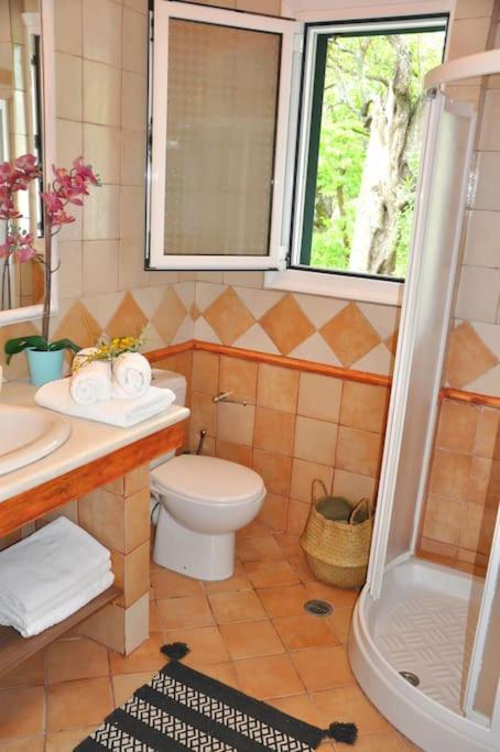 Villa Erietta Near Lefkas Center Apolpaina Eksteriør billede