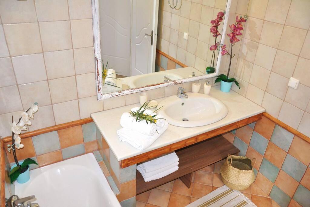 Villa Erietta Near Lefkas Center Apolpaina Eksteriør billede
