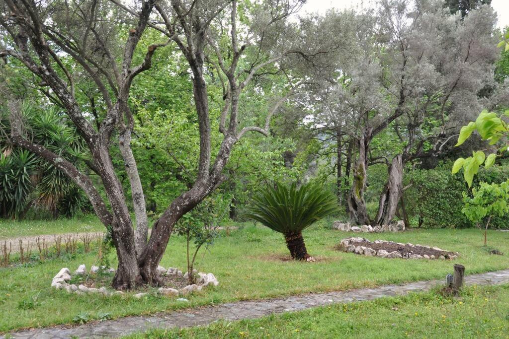 Villa Erietta Near Lefkas Center Apolpaina Eksteriør billede